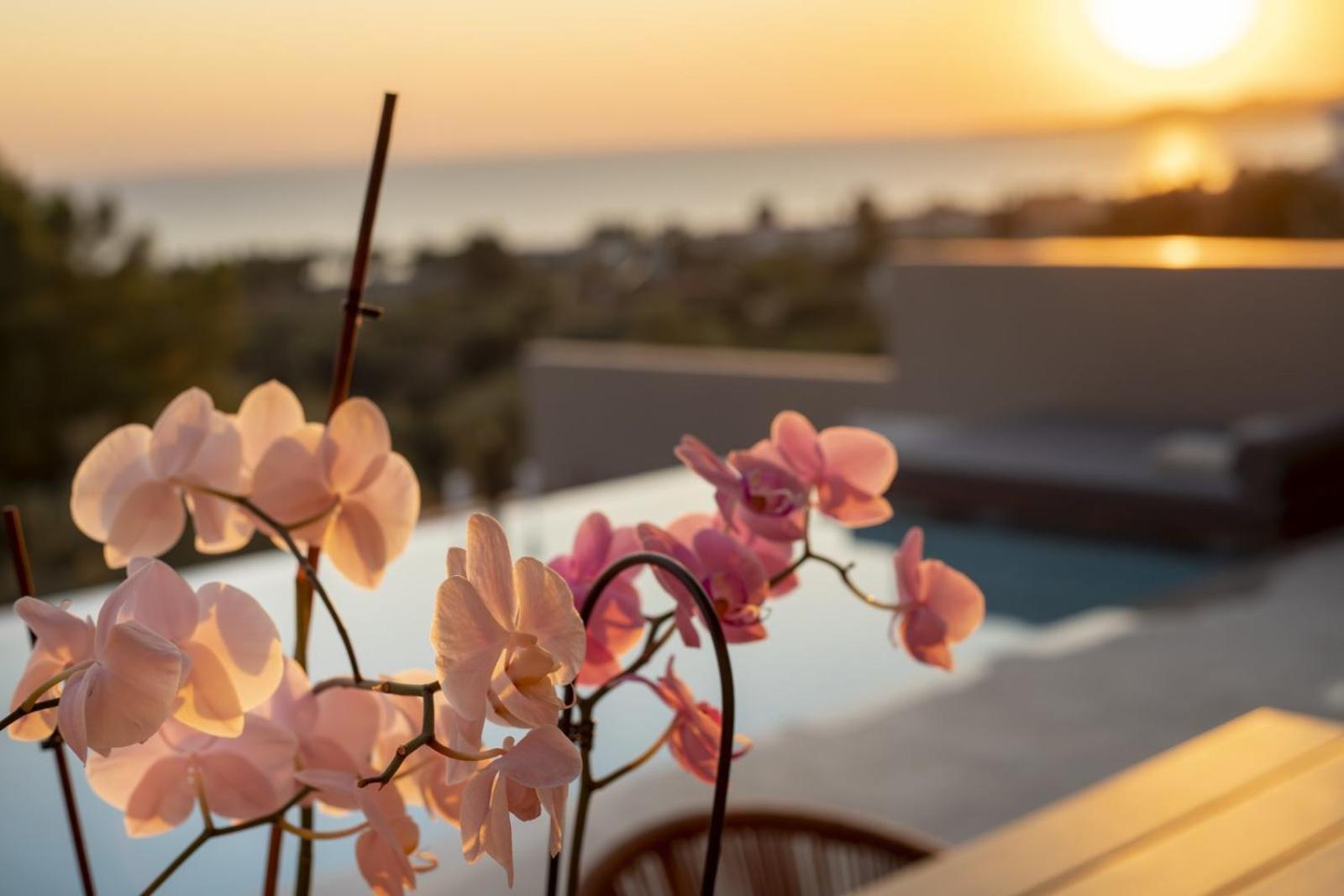 Lithos Villas - Nikiti Halkidiki Bagian luar foto